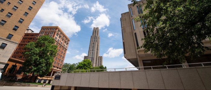 Cathedral and Pitt campus